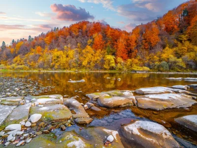 photo-3.webp